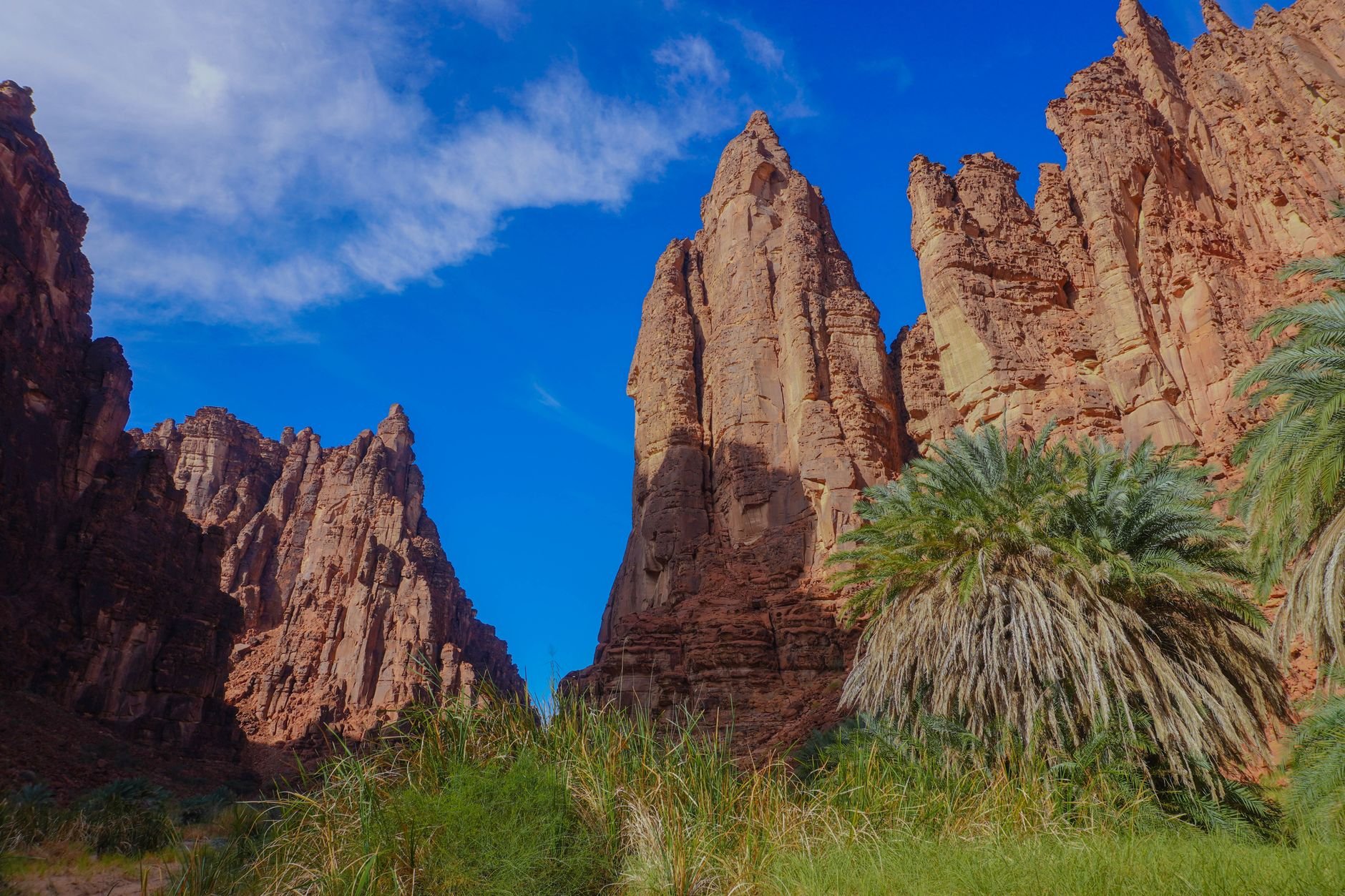 Top Things to Do in Tabuk: A Local Guide