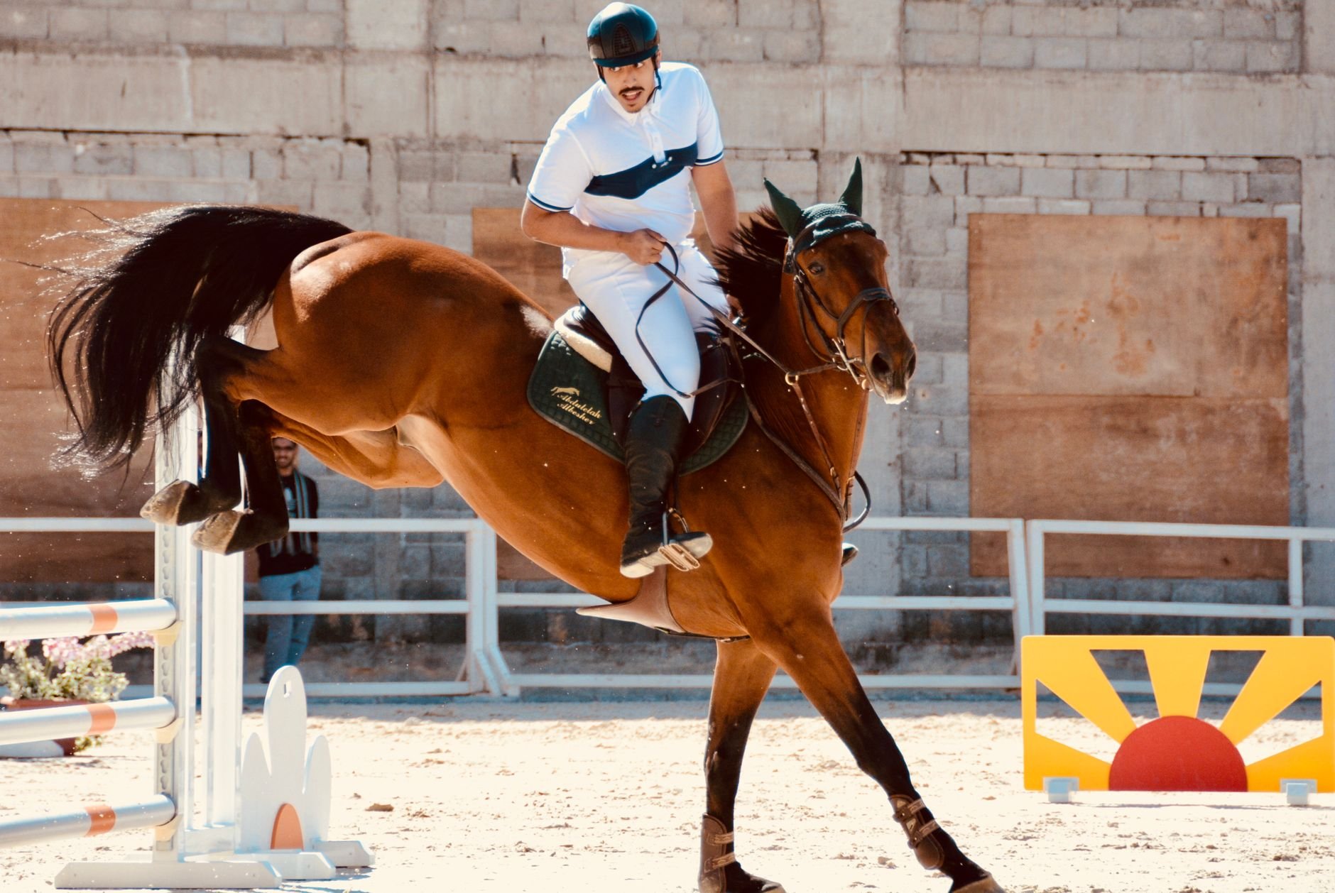 Hail Arabian Horse Championship Upgraded to Category B