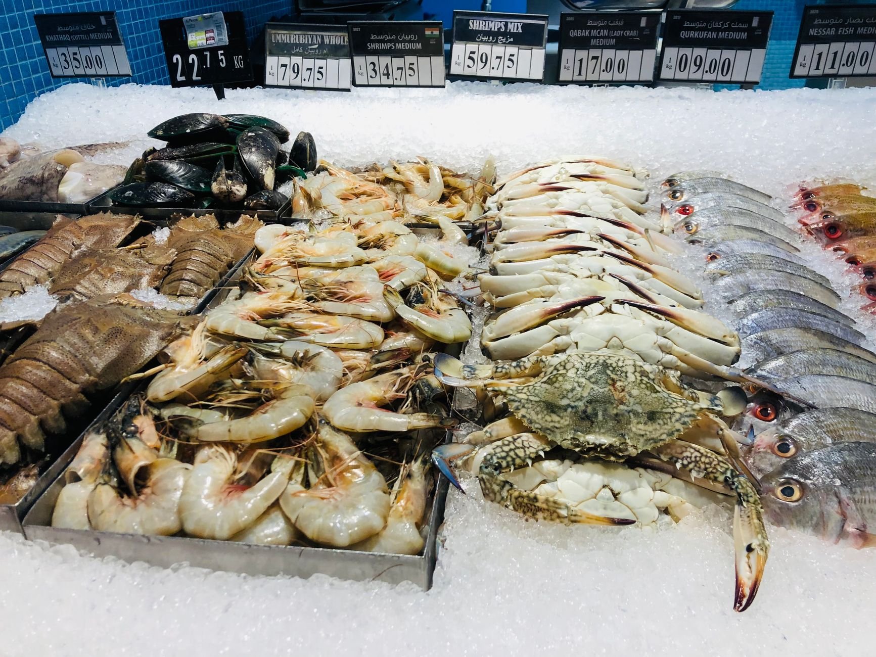 Shrimp Season Opens in Jazan Fish Markets