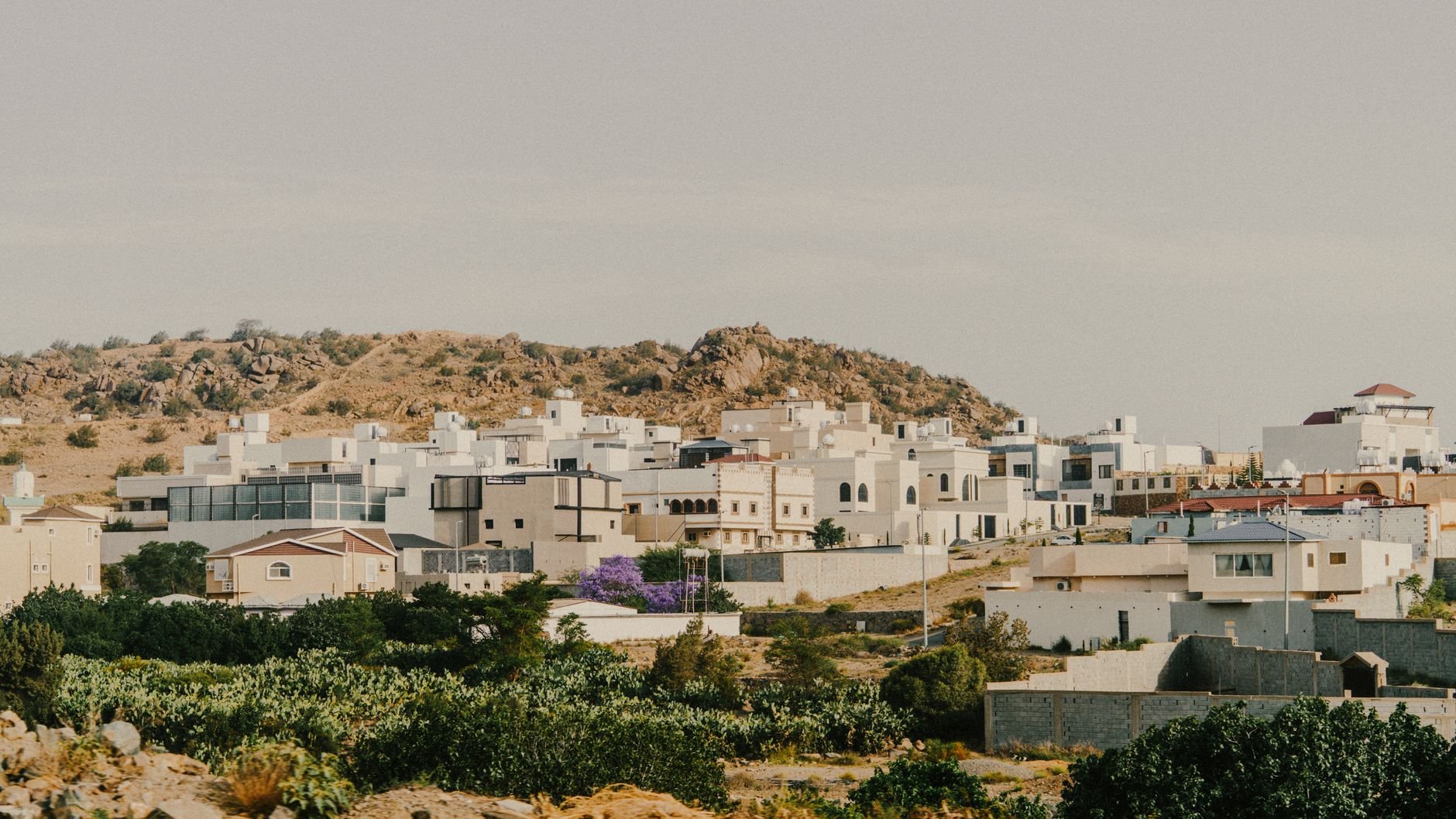 Best Areas to Rent in Taif: A Full Guide