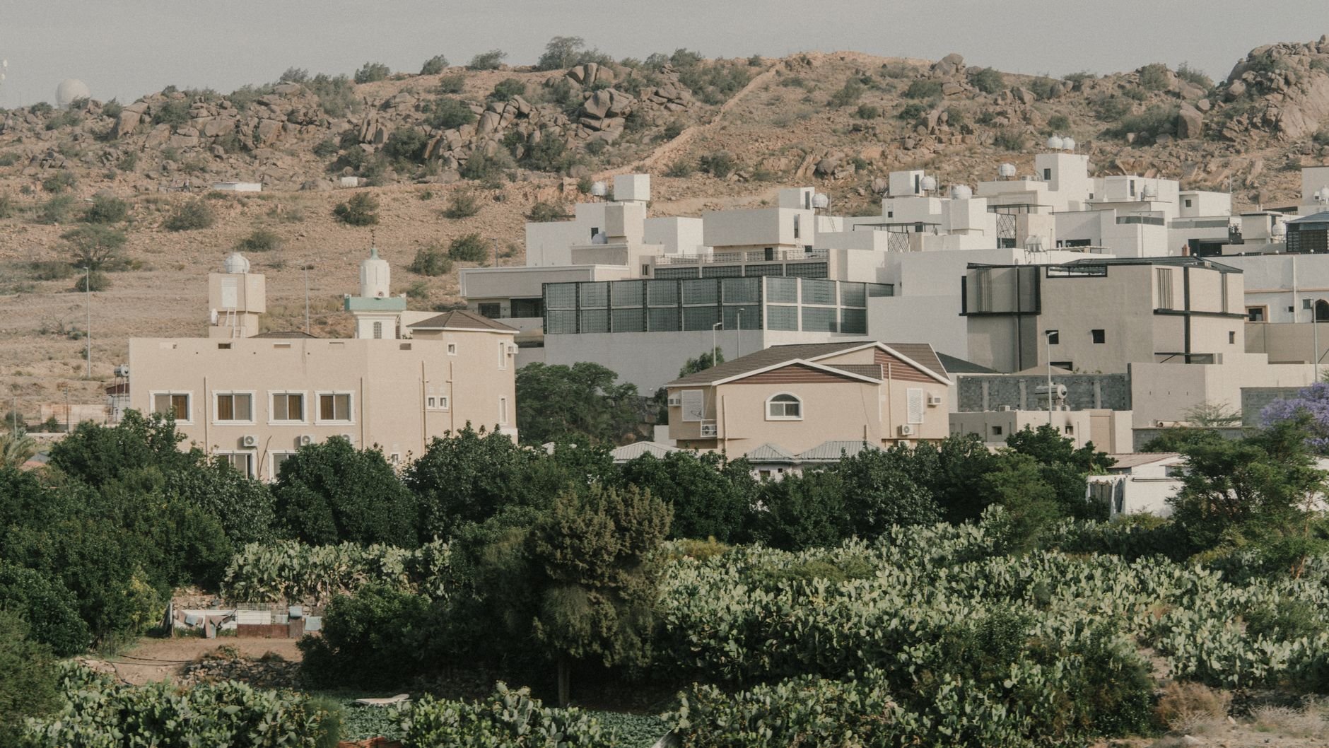 Living in Taif: A Newcomer's Guide to Costs & Life