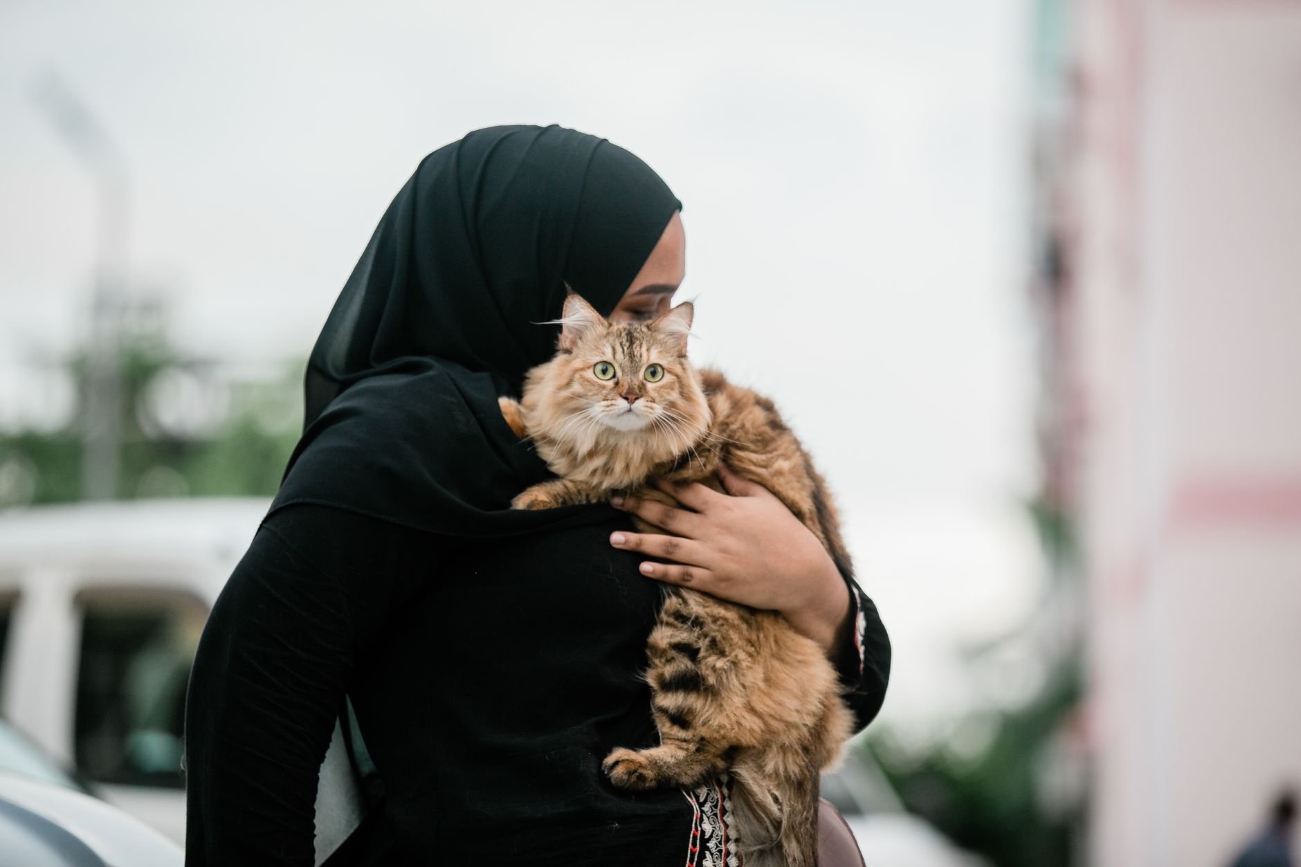 Bringing Your Pet to Saudi Arabia: Rules & Process