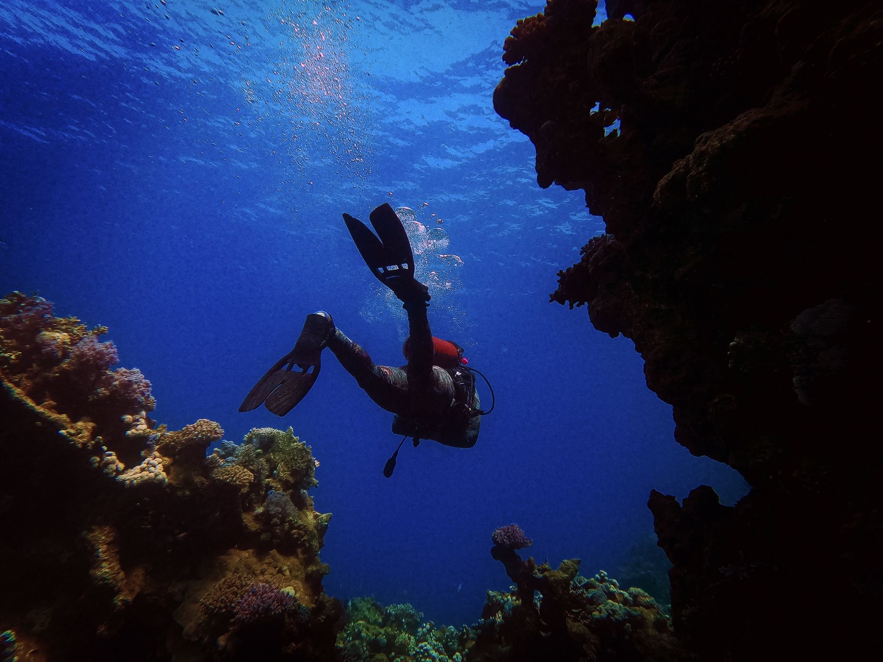 Red Sea Diving and Snorkelling Near Jeddah for Beginners