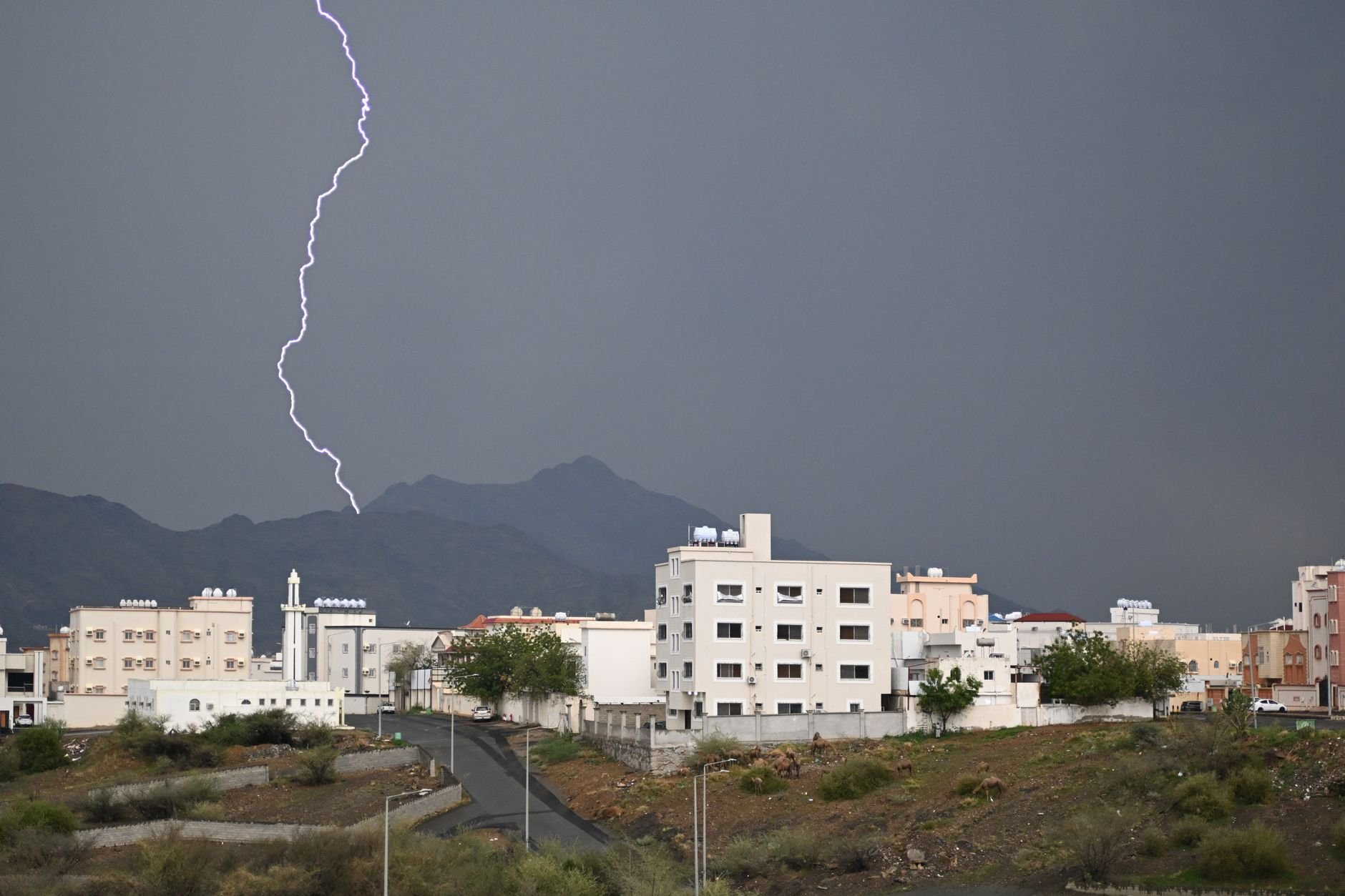 Heavy Thunderstorms, Flash Floods Forecast Across Saudi Regions