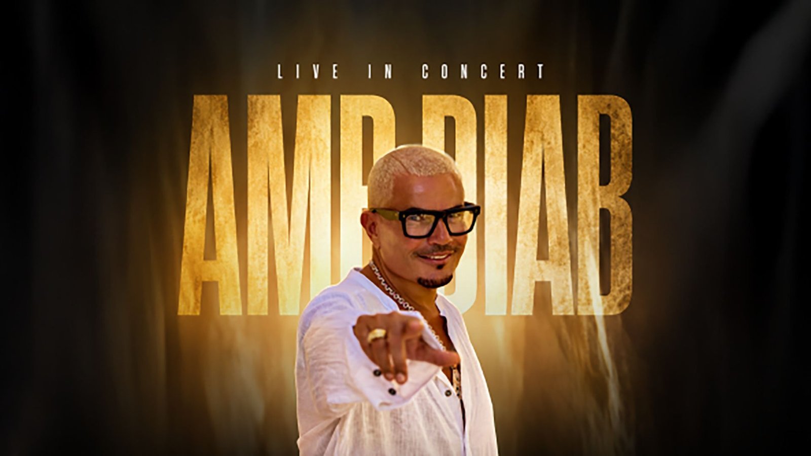 Amr Diab Concert